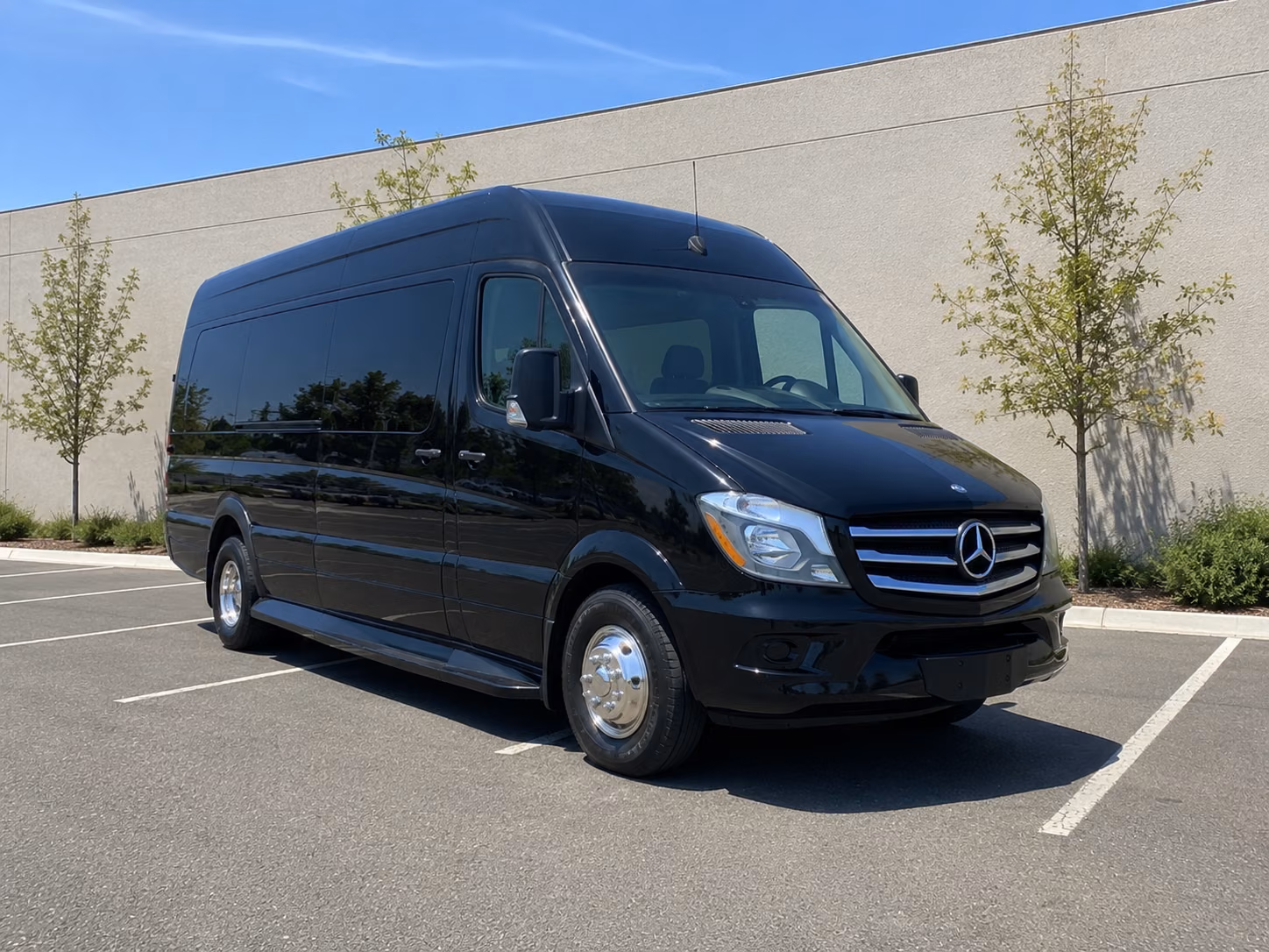 book the perfect ride for your next bachelor or bachelorette party 4