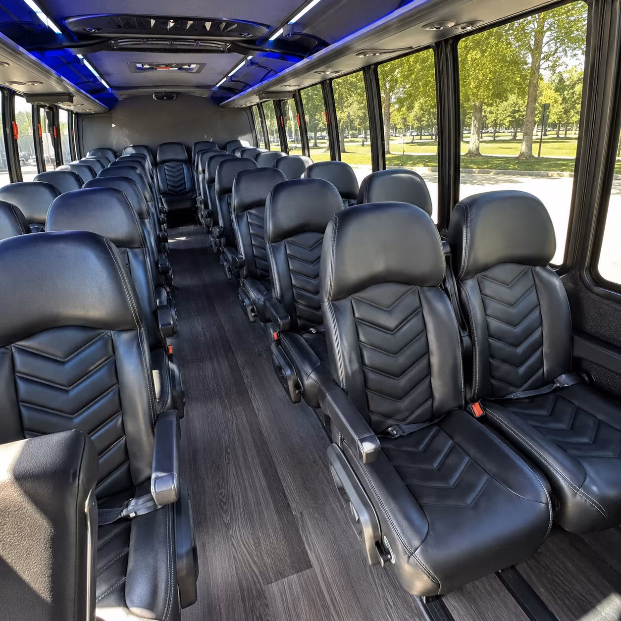 book the perfect ride for your next birthday 1