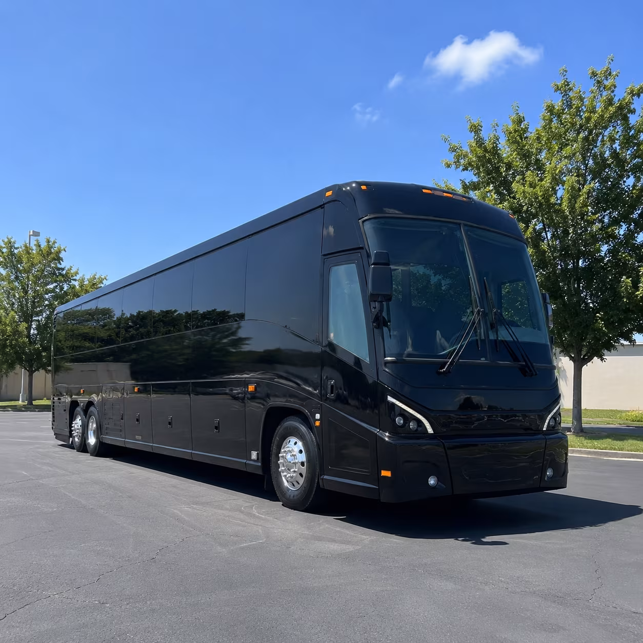 chico 56 passenger charter bus
