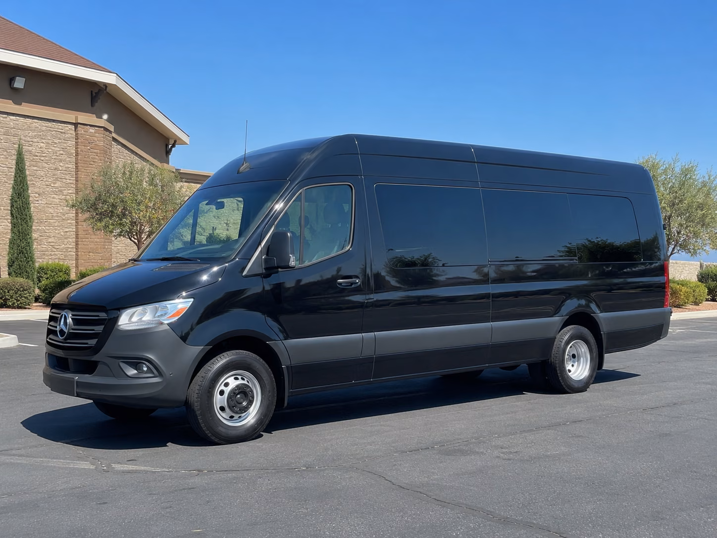 chico sprinter van with driver