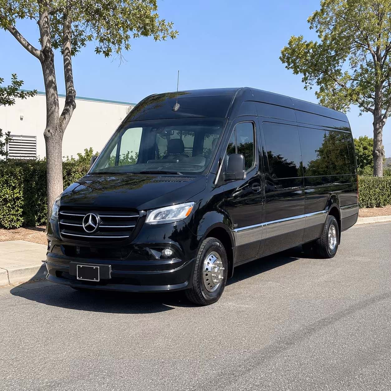 sprinter vans and minibuses for chico convention speaker and vip transfers